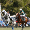 Polo in Aiken: The History and Legacy of This Prestigious Sport