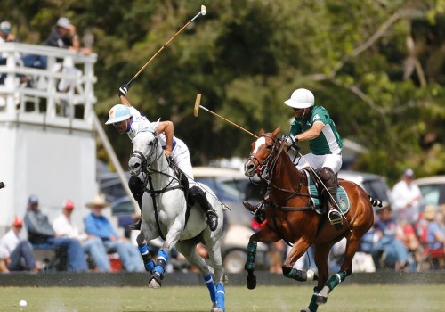 Polo in Aiken: The History and Legacy of This Prestigious Sport